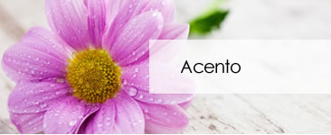 Acento