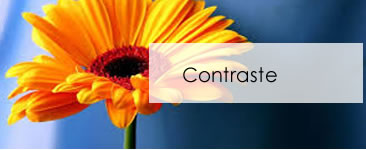 Contraste