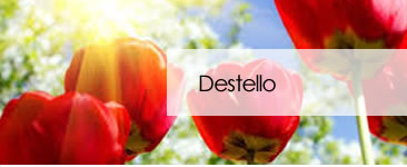 Destello